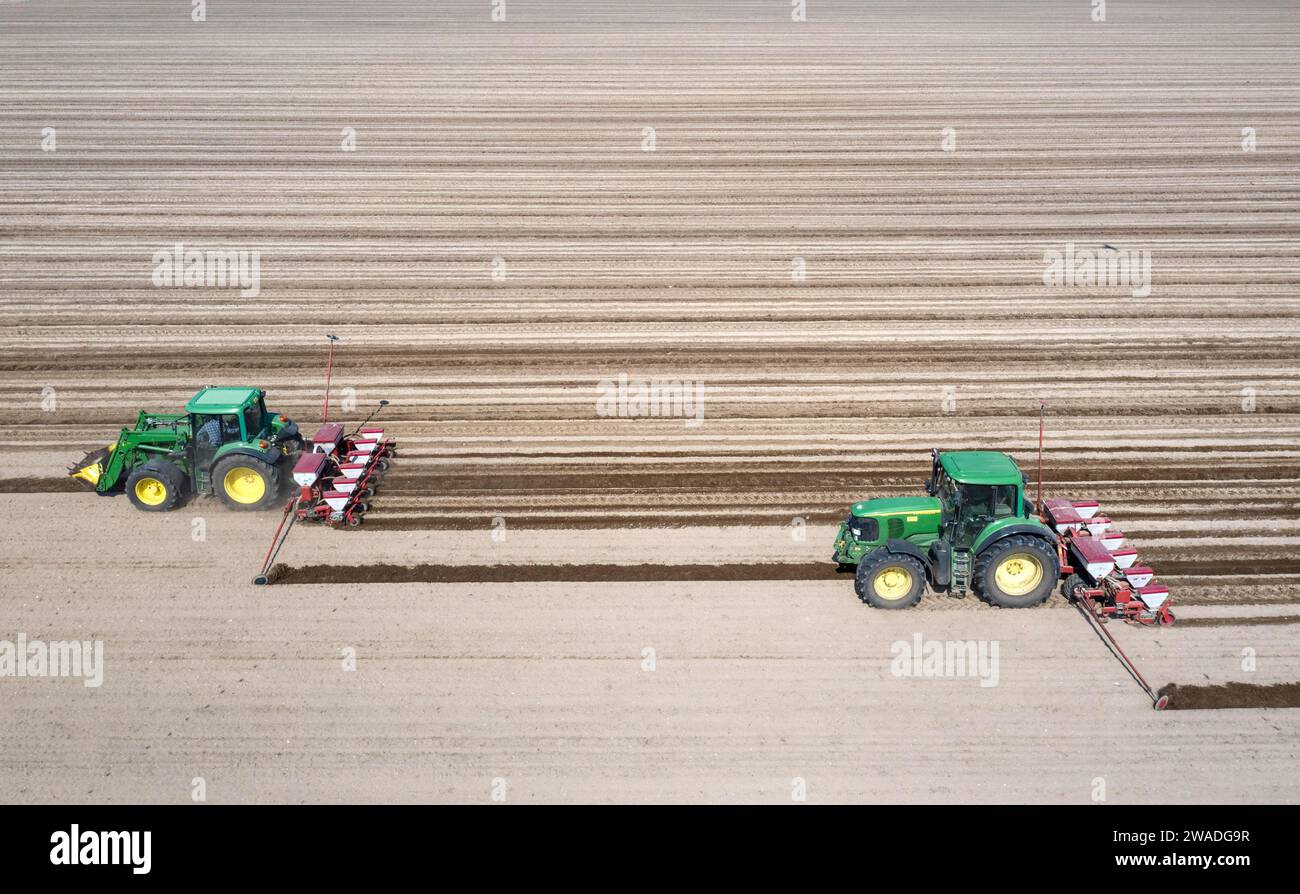 Aerial view, tractors sowing sunflower seeds, Thyrow, 21.04.2023 Stock