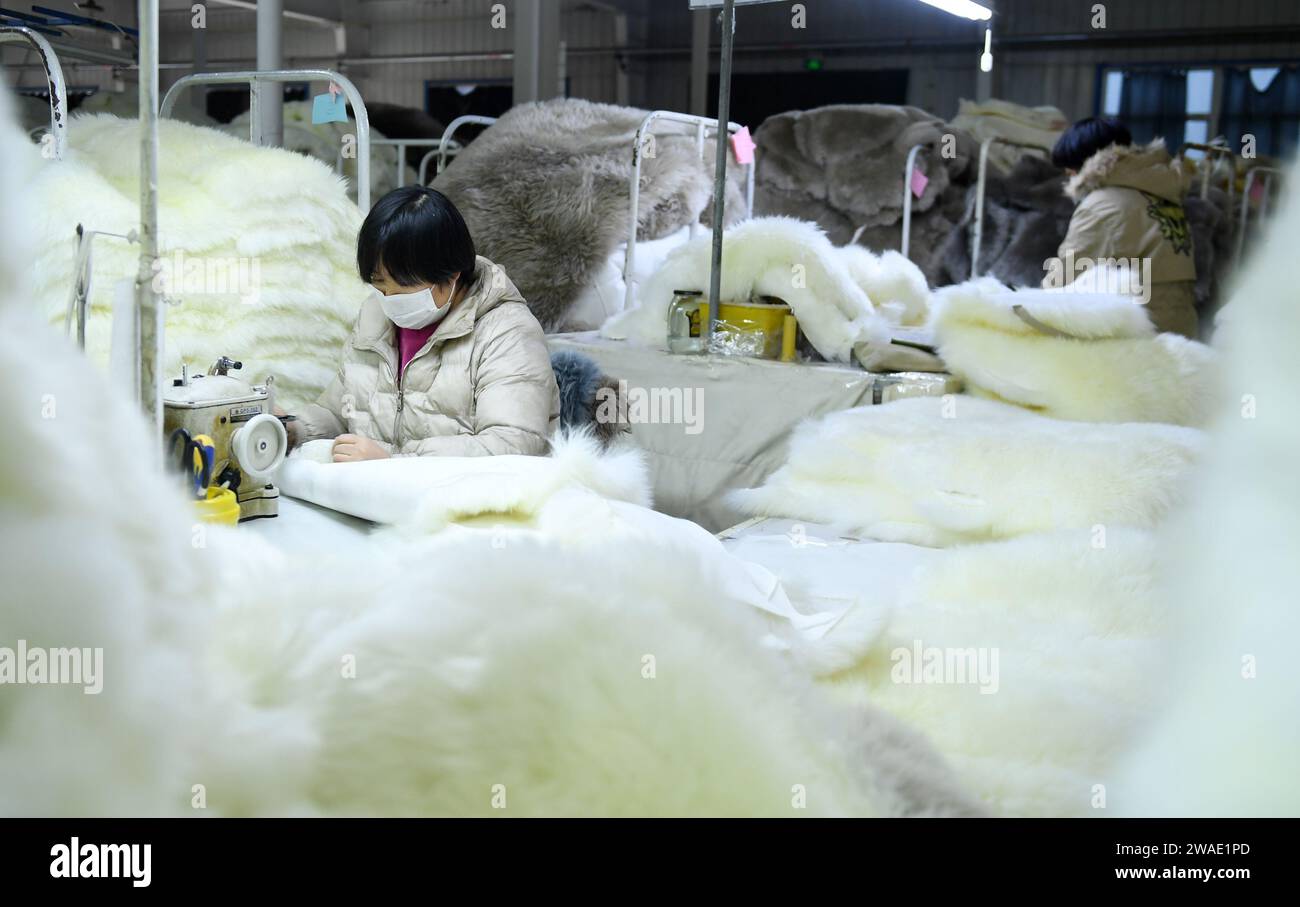 ZHANGJIAKOU, CHINA - JANUARY 4, 2024 - An employee of a leather company works on a sewing production line in Zhangjiakou, Hebei province, China, Jan 4 Stock Photo