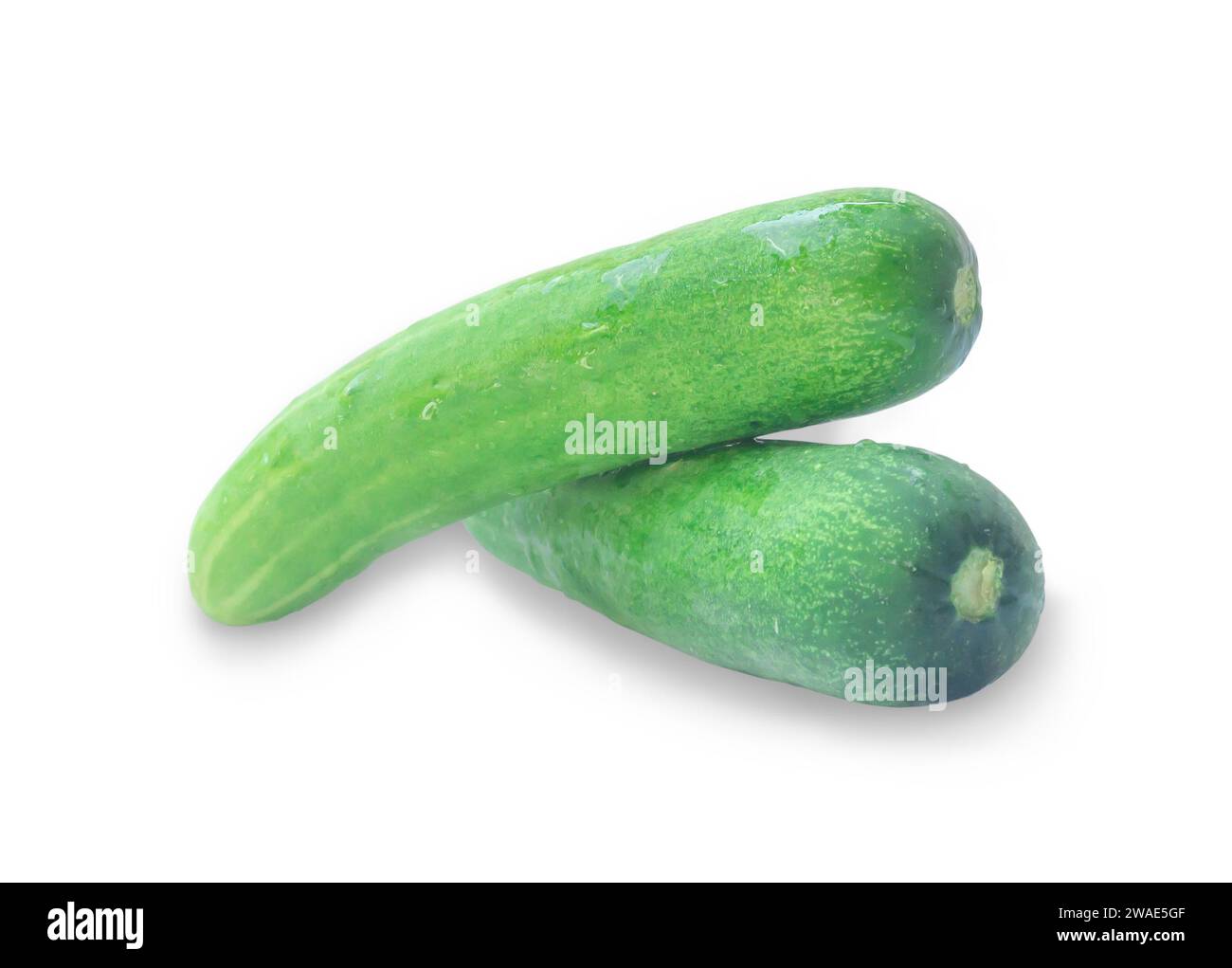 Two fresh green cucumbers vegetable in stack, heap or pile are isolated on white background with clipping path. Stock Photo