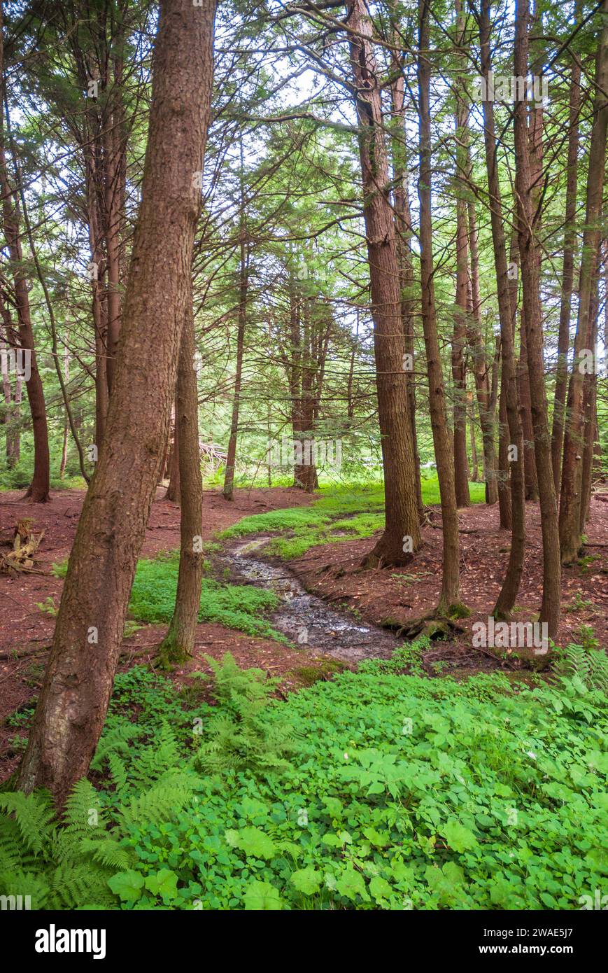 Warren county outdoor getaway hires stock photography and images Alamy