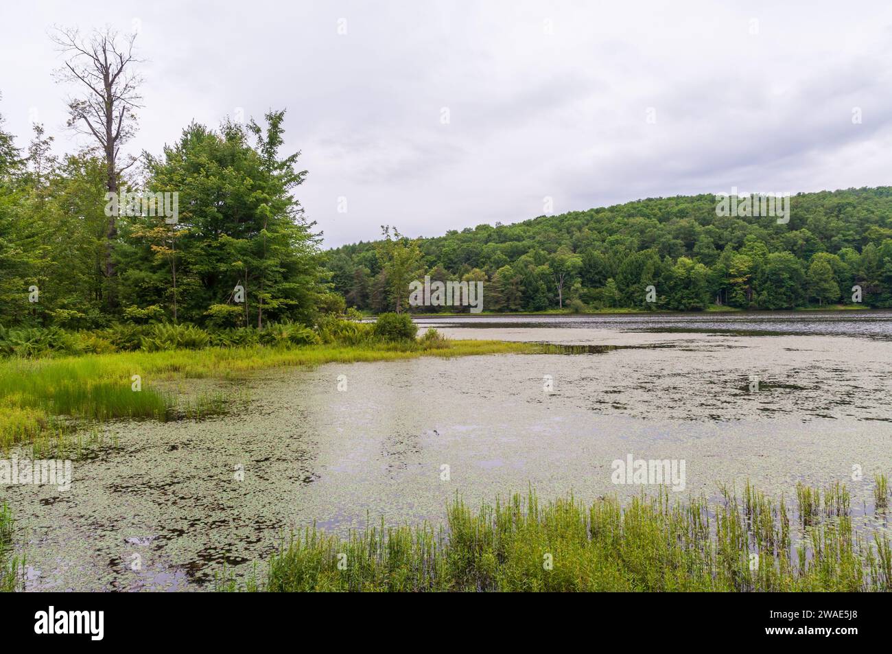 Warren county outdoor getaway hires stock photography and images Alamy
