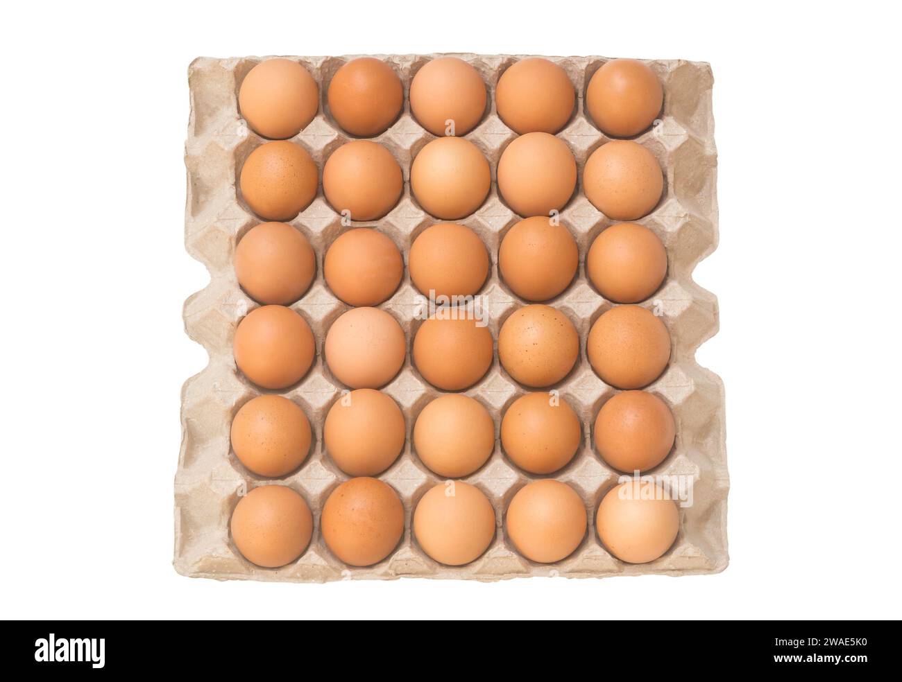 Top view of eggs in open carton or paper tray is isolated on white background with clipping path. Stock Photo