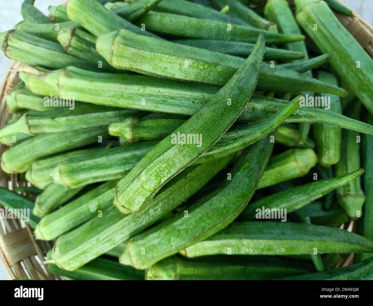 Okra