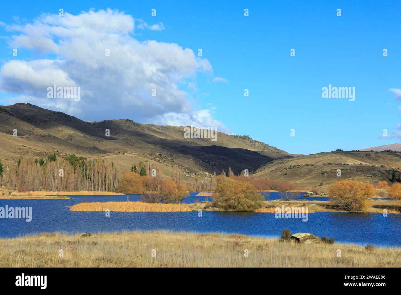 An autumn landscape with colorful trees around a lake in the Flat Top Hill Conservation Area, Central Otago, New Zealand Stock Photo