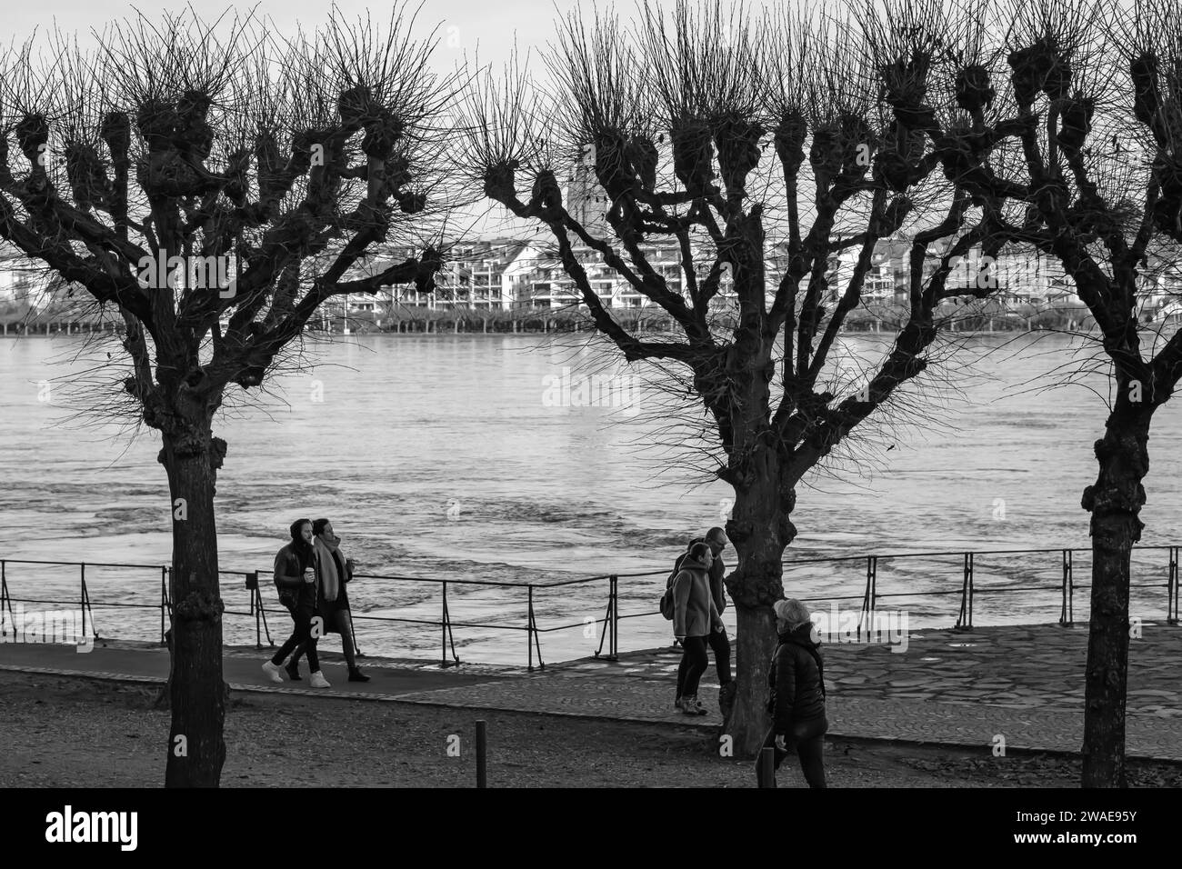 Bonn, Germany - December 17, 2023 : View of people walking next to the river Rhine in Bonn Stock Photo