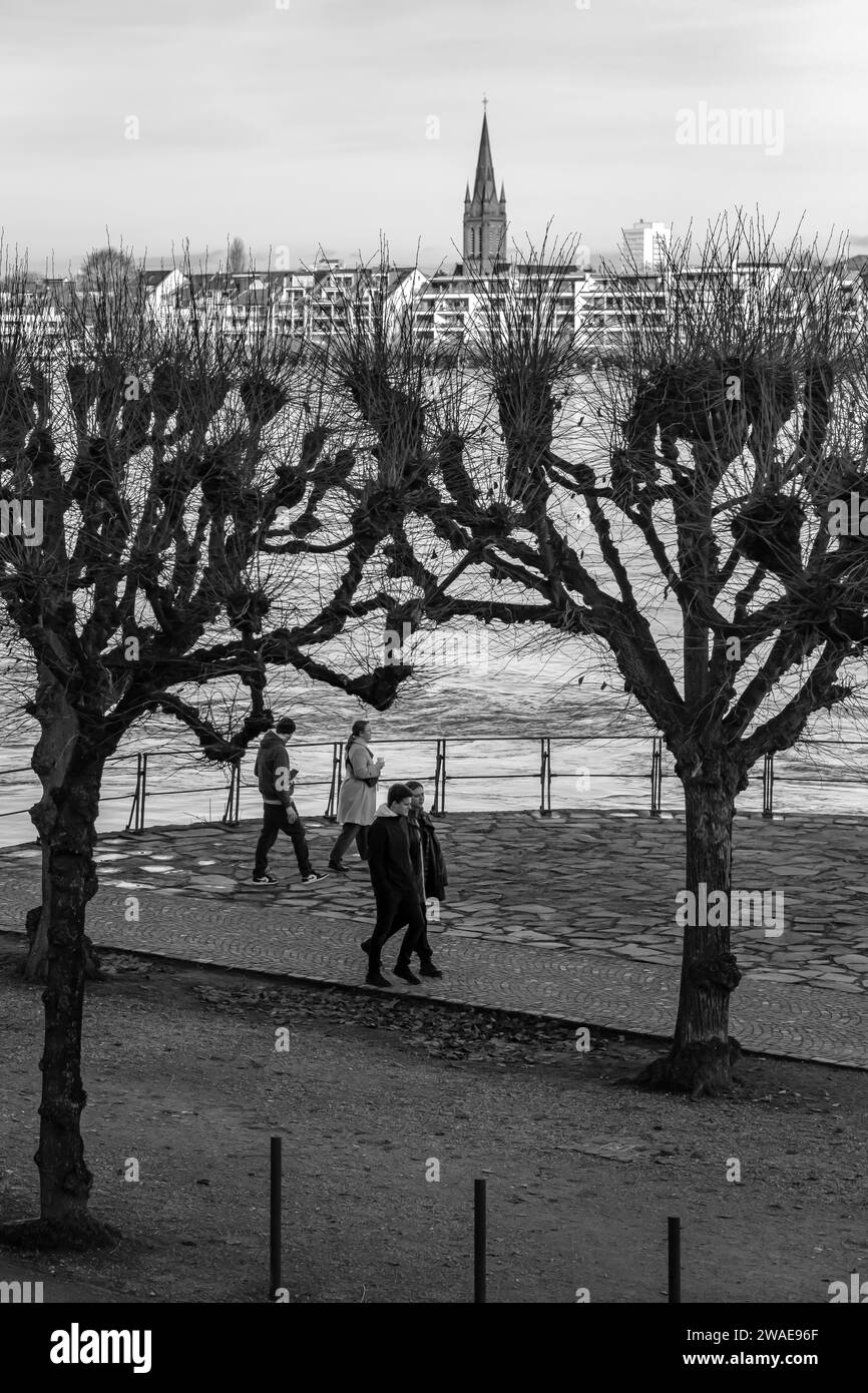 Bonn, Germany - December 17, 2023 : View of people walking next to the river Rhine in Bonn Stock Photo