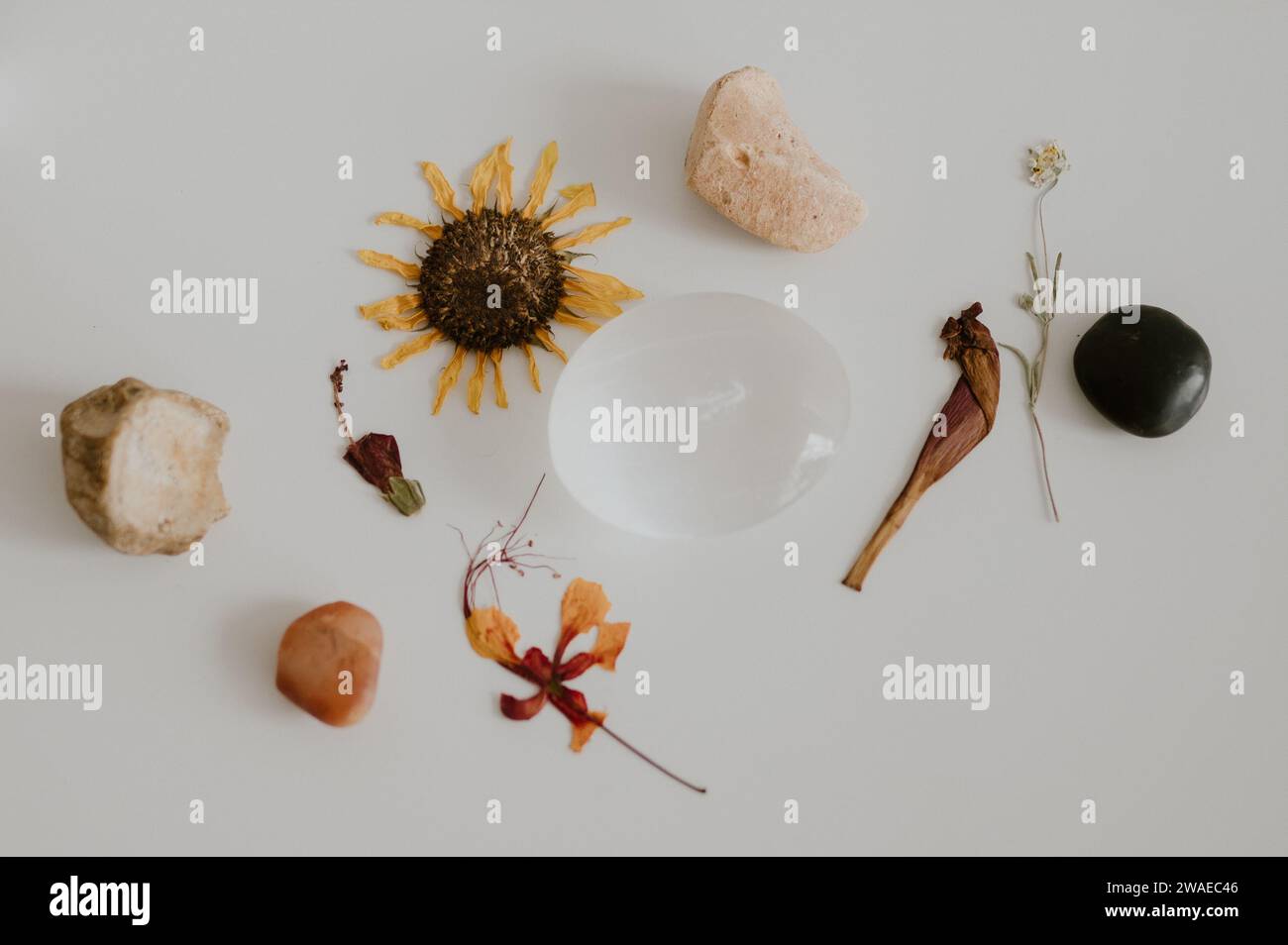 Gallery image with a fresh perspective