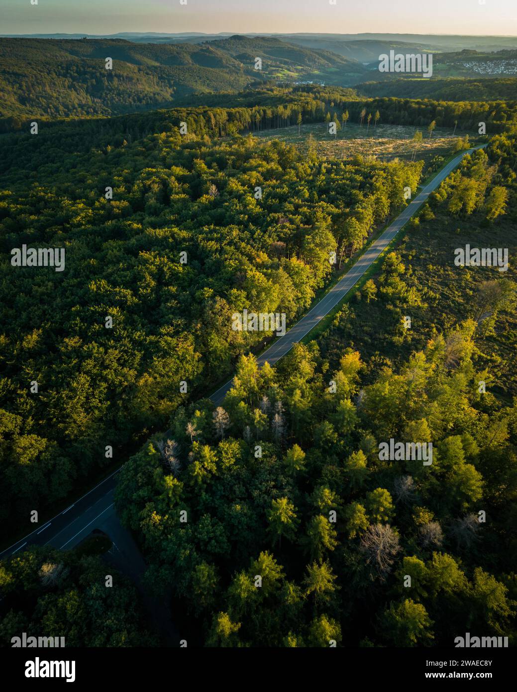 An aerial view of a winding road cutting through lush green forests ...