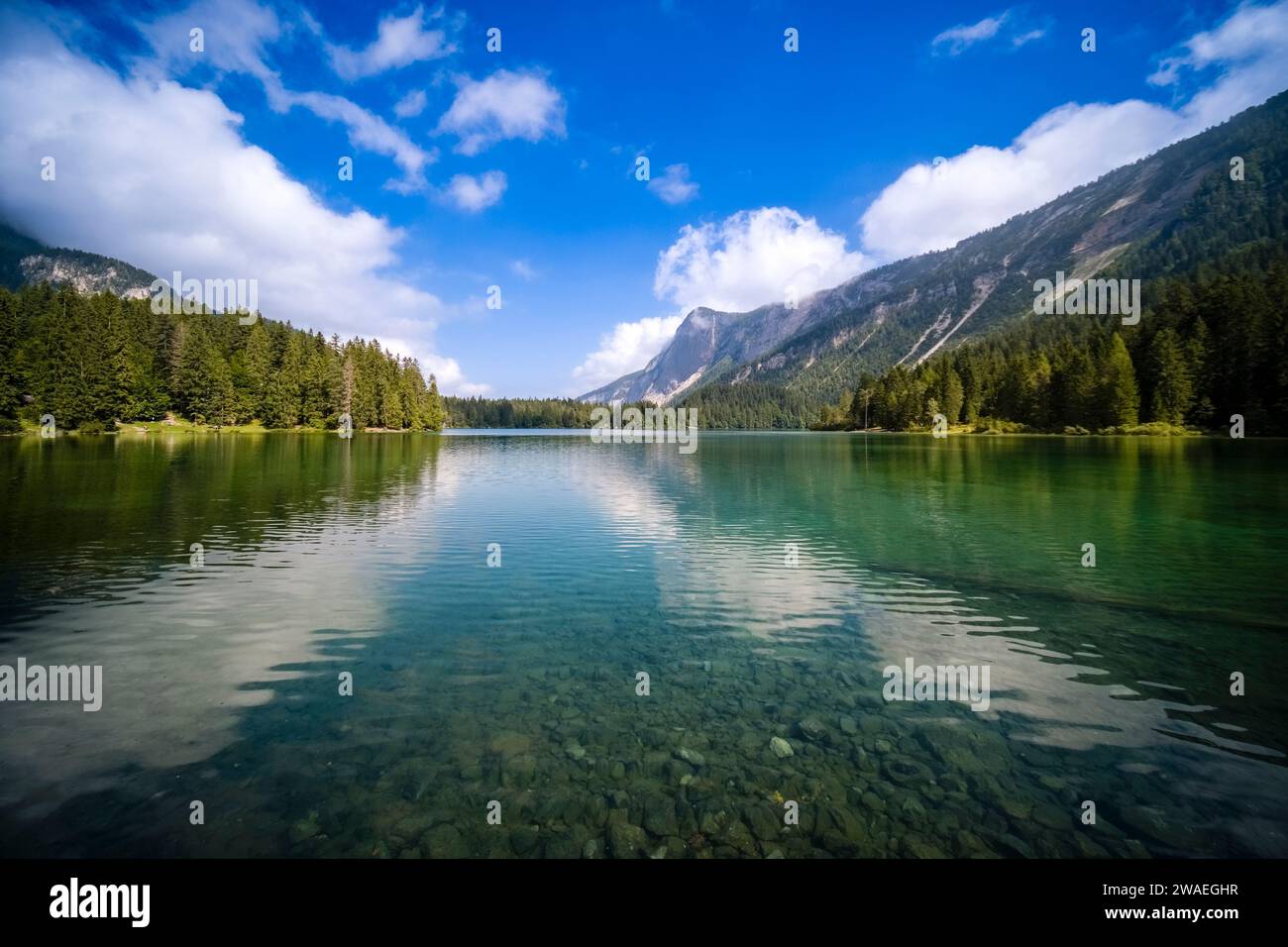 View over the surface of the lake Lago di Tovel, the rock cliff of the mountain Monte Corno in the distance. Stock Photo