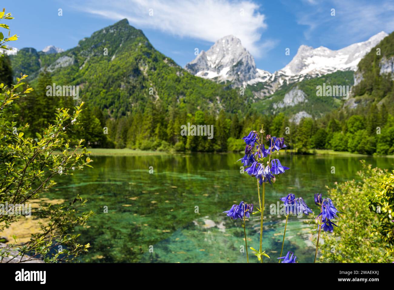 Schiederweiher the most beautiful lake in Austria Stock Photo