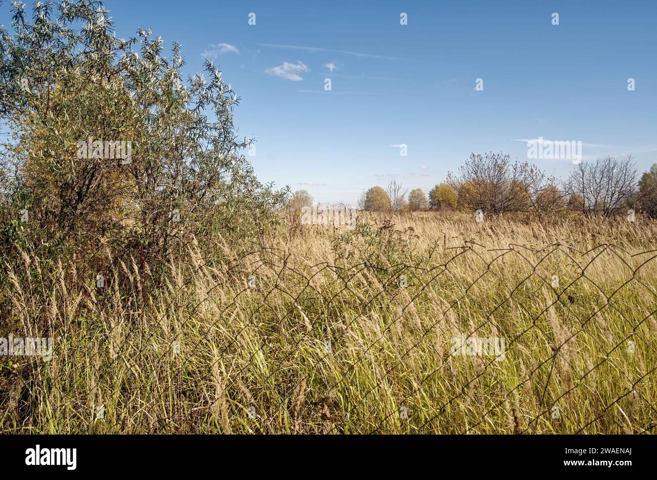 Field behind a mesh fence, in autumn Stock Photo