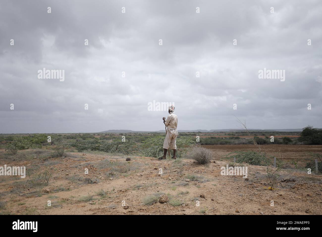 Elderly man long white beard hi-res stock photography and images - Alamy