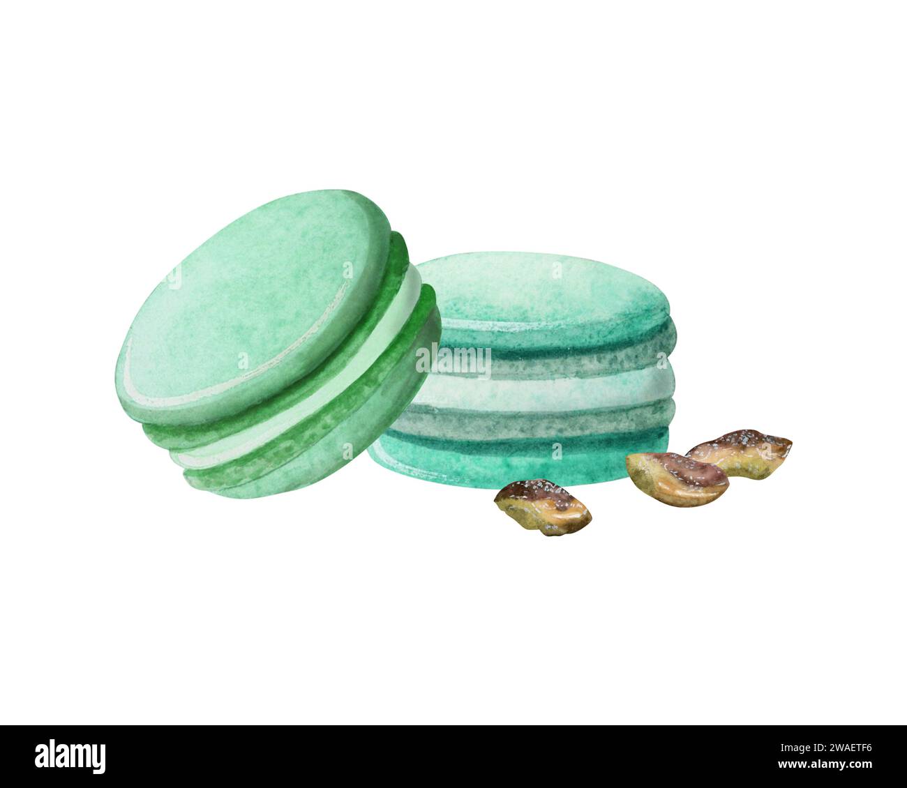 Pistachios sweet macarons cookies in teal green color watercolor illustration isolated on white