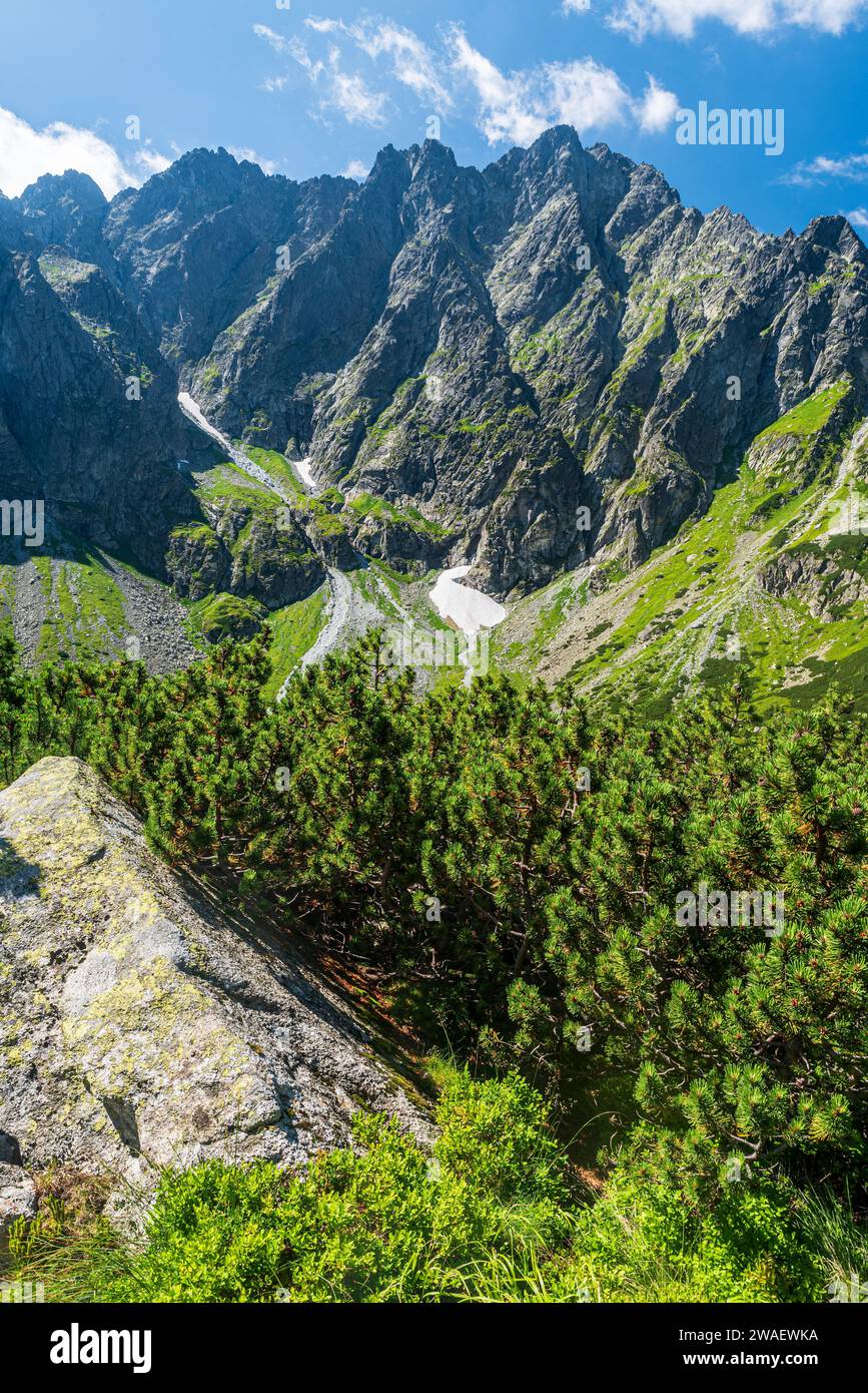 Beautiful High Tatras mountains in Slovakia with sharp peaks above Bielovodska dolina valley Stock Photo
