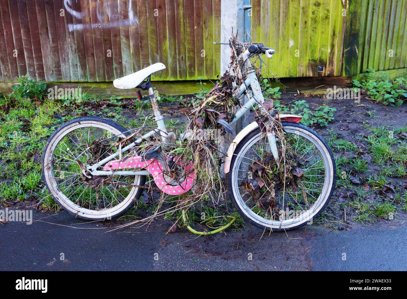 A girls bicycle covered in weeds pulled from the high flood water of the River Witham, Wyndham Park, Grantham, Lincolnshire Stock Photo
