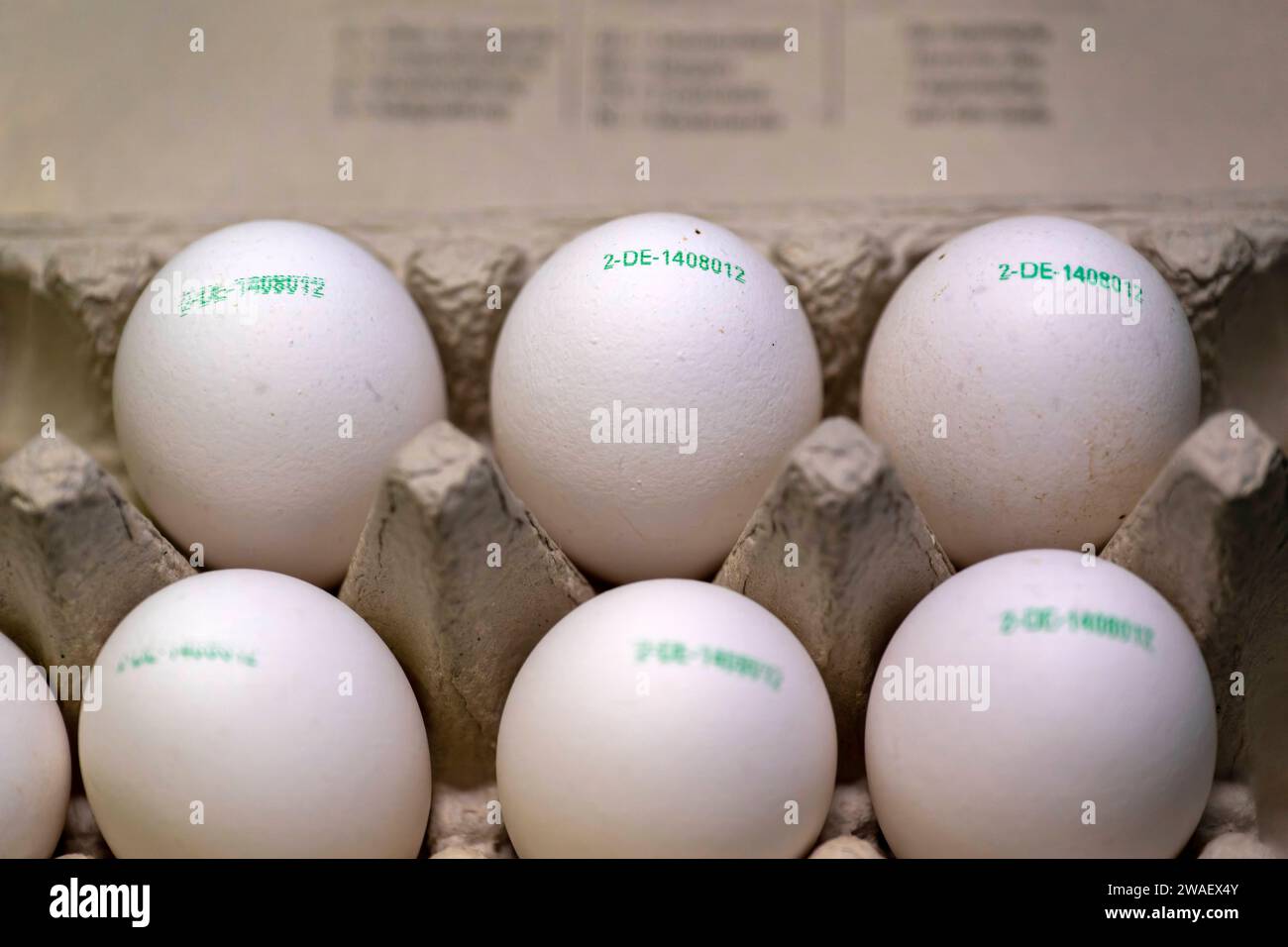 04.01.2024, Frische Hühnereier, Eine Zehner-Schachtel Hühnereier mit Herkunftskennzeichnung auf der Eierschale aufgedruckt. Haltungsform, Erzeugerland, Legebetrieb, Stall, 04.01.2024, Eier in der Eierschachtel 04.01.2024, Eier in der Eierschachtel *** 04 01 2024, Fresh hens eggs, One carton of ten hens eggs with origin marking printed on the egg shell, farming method, country of production, laying farm, barn, 04 01 2024, Eggs in the egg carton 04 01 2024, Eggs in the egg carton Stock Photo