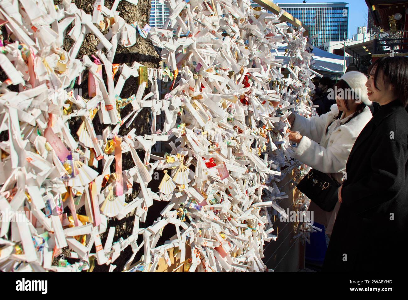 Am ersten Werktag des neuen Jahres in Tokio binden Besucher ihre Omikuji Glückszettel am Kanda Myojin-Schrein zusammen. Tokio, 04.01.2024 *** On the first working day of the new year in Tokyo, visitors tie their Omikuji lucky notes together at Kanda Myojin Shrine Tokyo, 04 01 2024 Foto:xK.xNarax/xFuturexImagex myojin 4108 Stock Photo