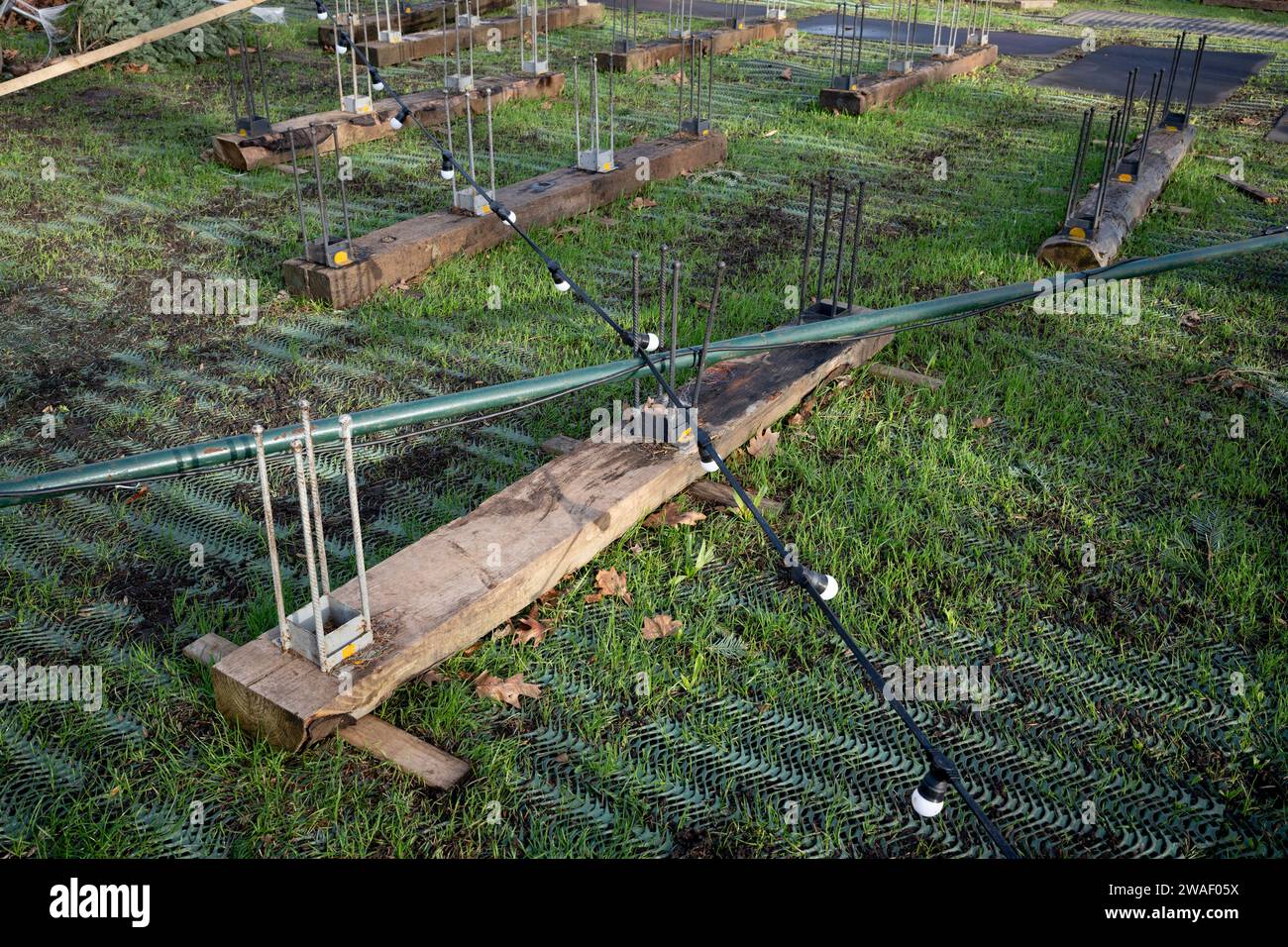 Unsold Christmas trees remain as waste in a licensed retailer's space