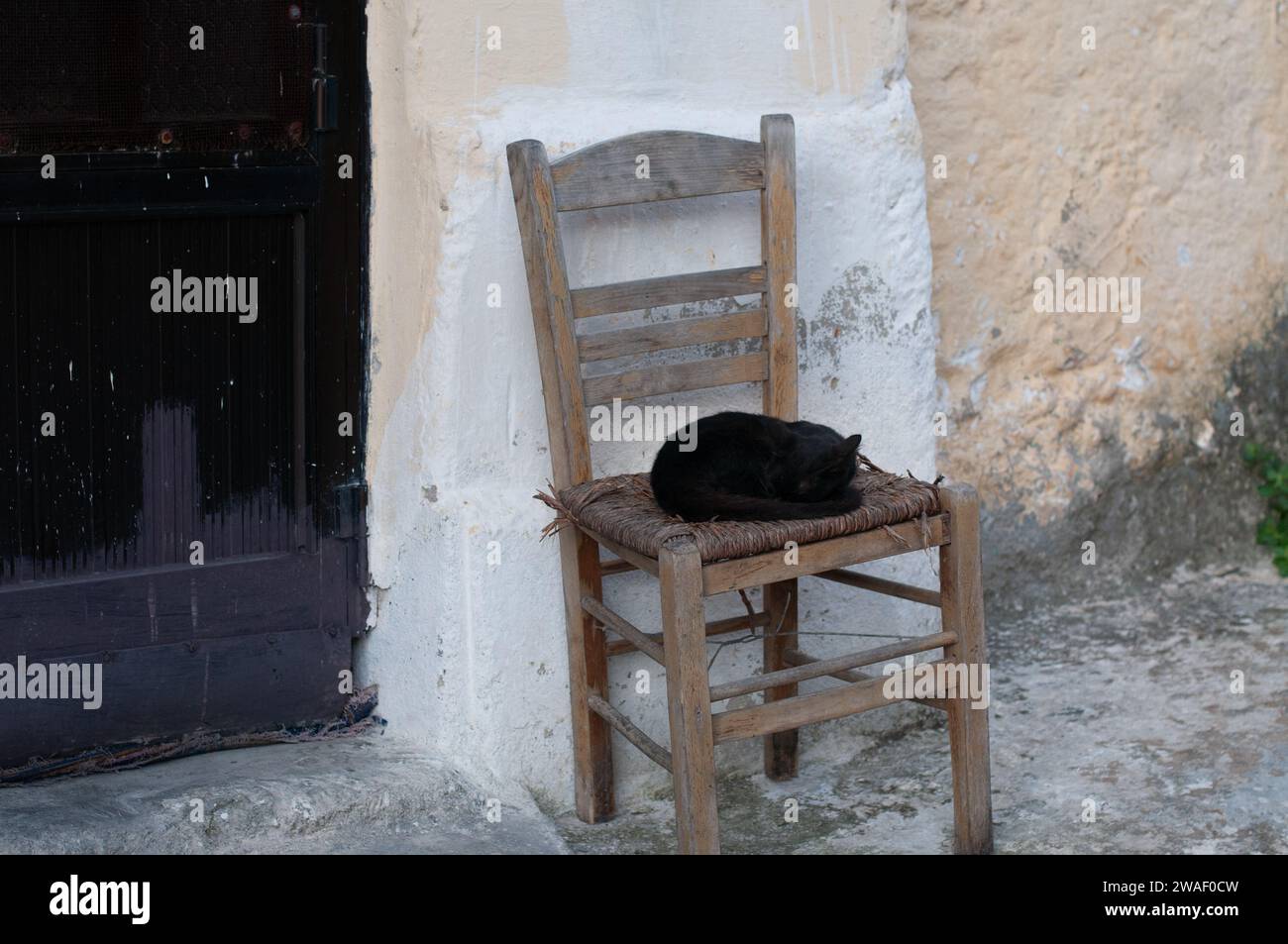 Isolated black cat curled up and asleep with head on its tail and lying on a weathered wood and wicker chair. Stock Photo