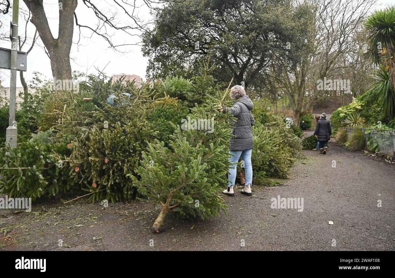 Christmas tree recycling points hires stock photography and images Alamy