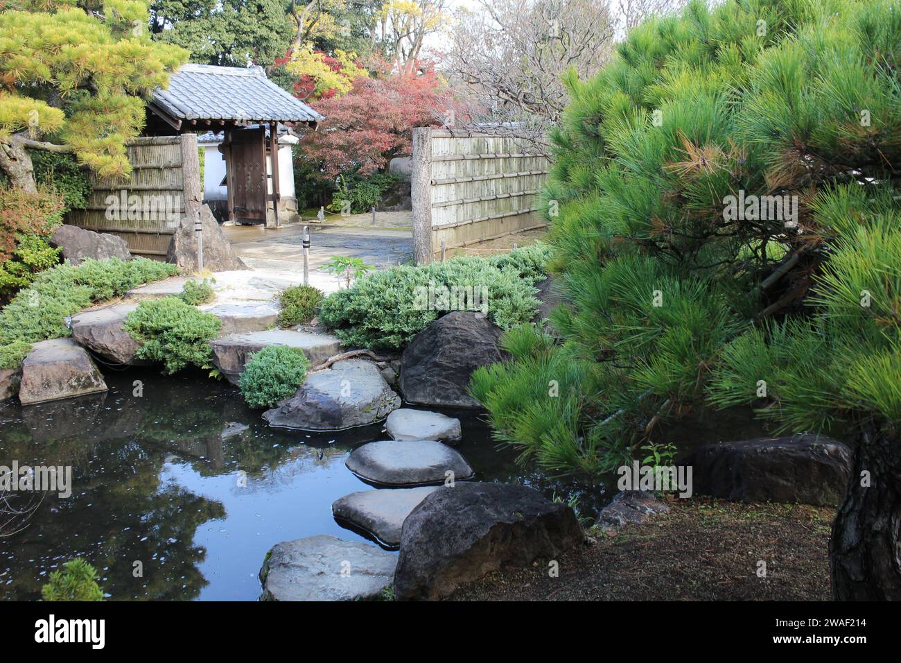 Autumn leaves in Flatly Landscaped Garden in Koko-en Garden, Himeji, Japan Stock Photo