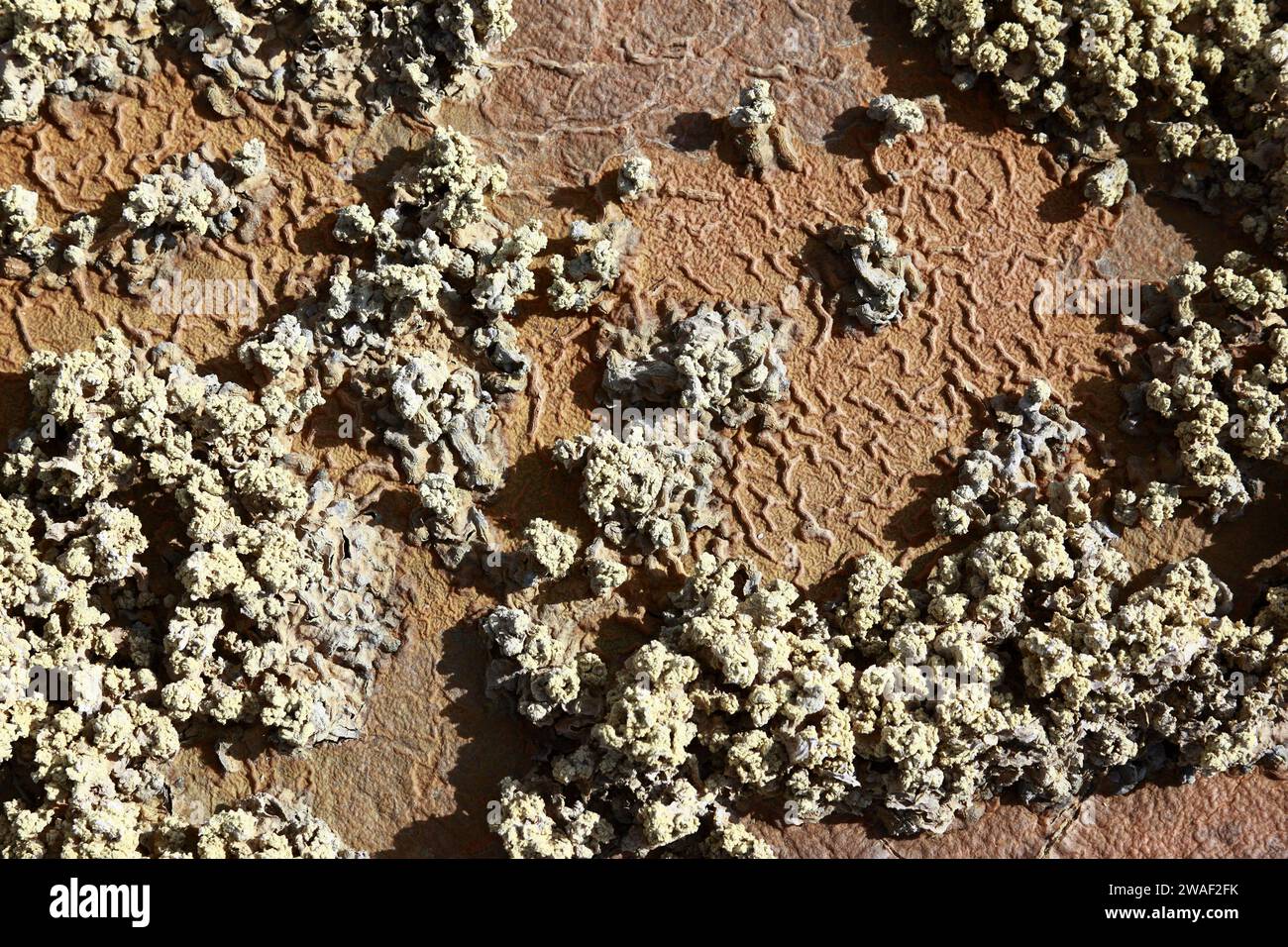Detail of precipitated sulphur / sulfur minerals on surface of tailings waste from nearby mines on outskirts of Potosi, Bolivia Stock Photo