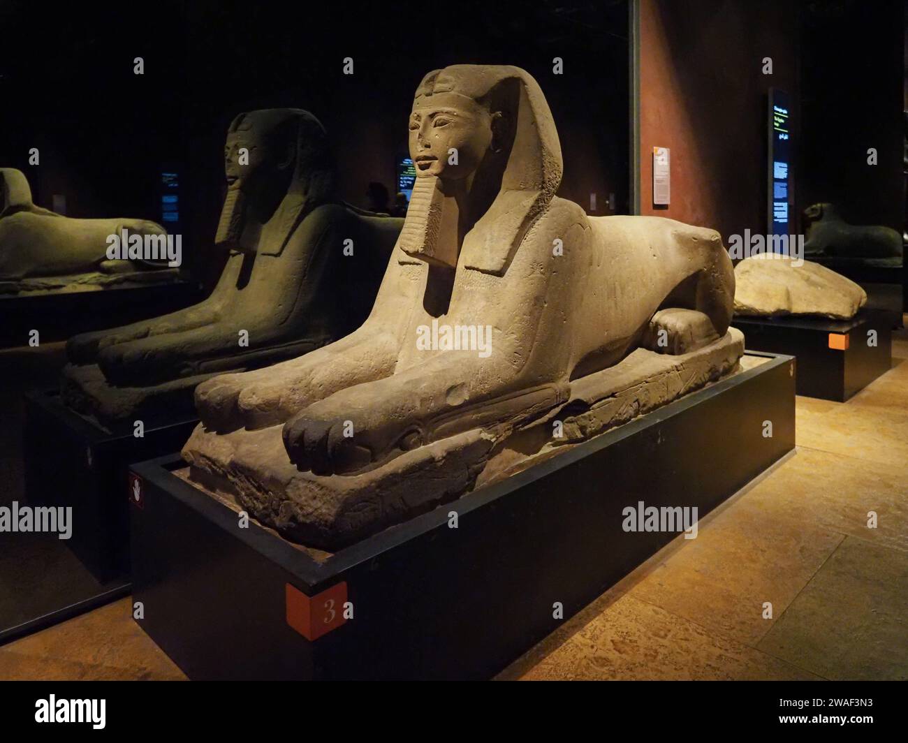 turin-italy-circa-december-2022-sphinx-statue-at-museo-egizio