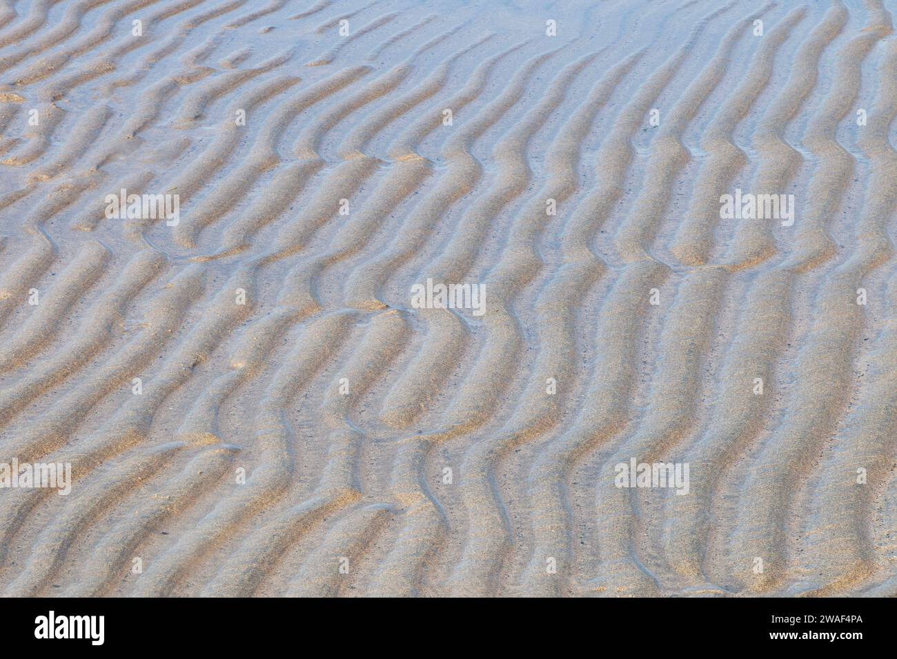 Natural sand patterns on a beach in Cornwall, England, UK Stock Photo