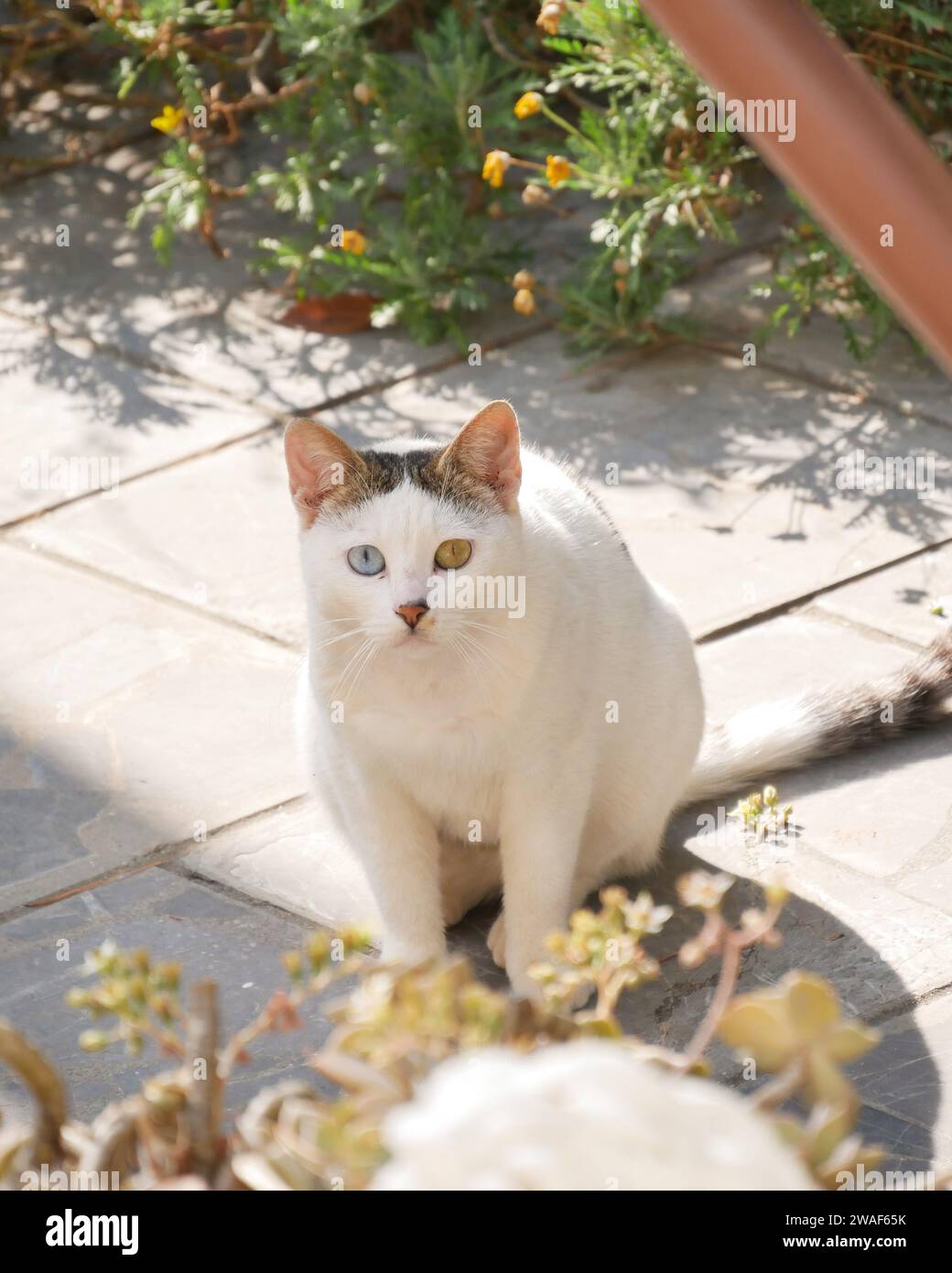 Varkiza, Athens, Greece Stock Photo Alamy