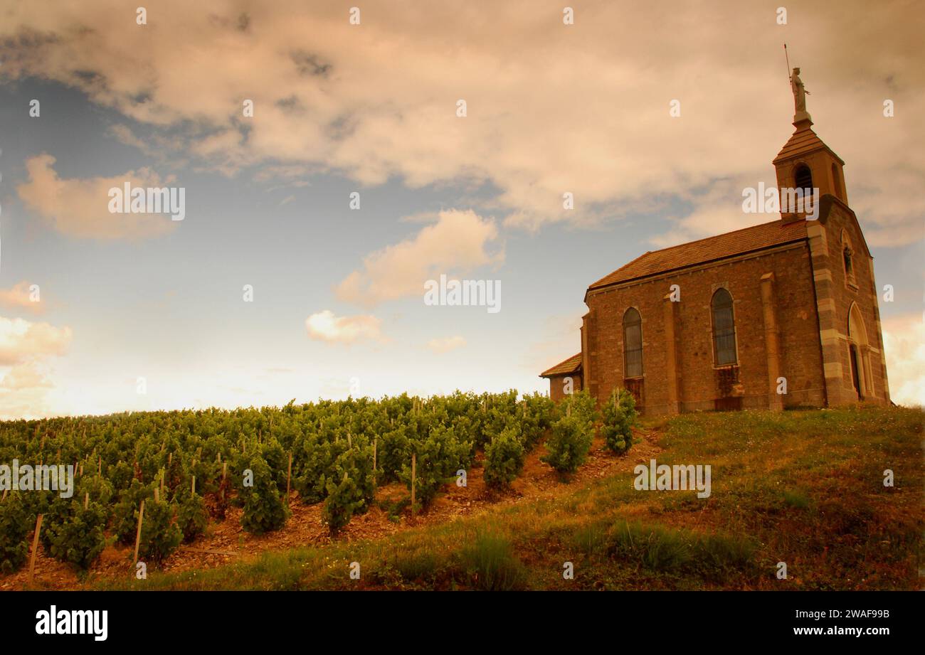 Chapel and Vineyards in the Fleurie Region, Beaujolais, France Stock Photo