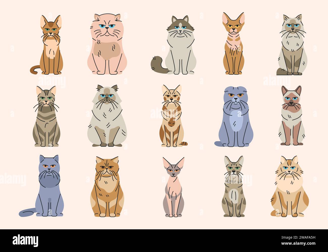 Cat breeds color elements. Cartoon cute animal. Hand draw vector ...