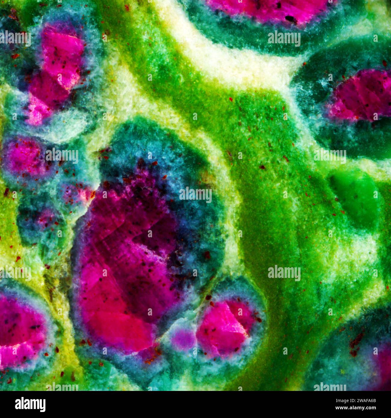 Ruby Weston Weston Birthstones Ruby July Stock Photo - Alamy