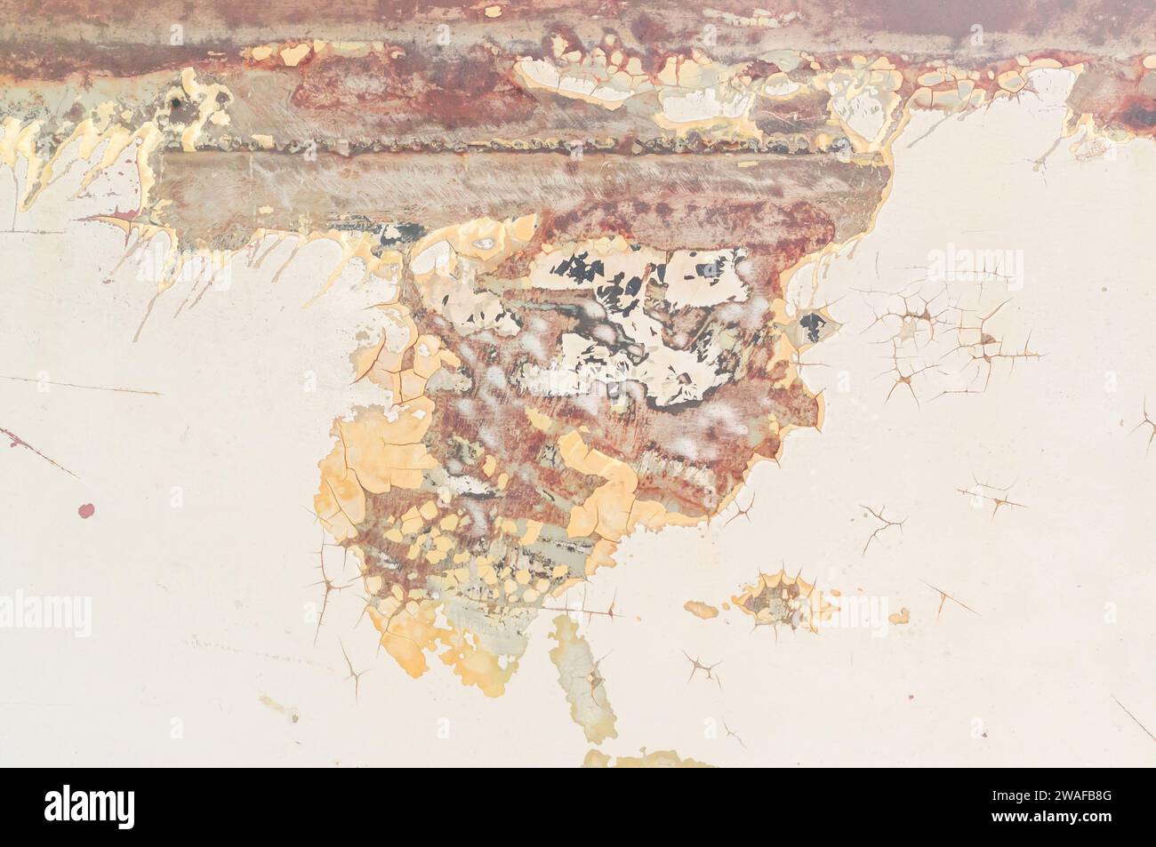 Old white autobody changes to rusted brown iron sheet for art background or texture. Stock Photo