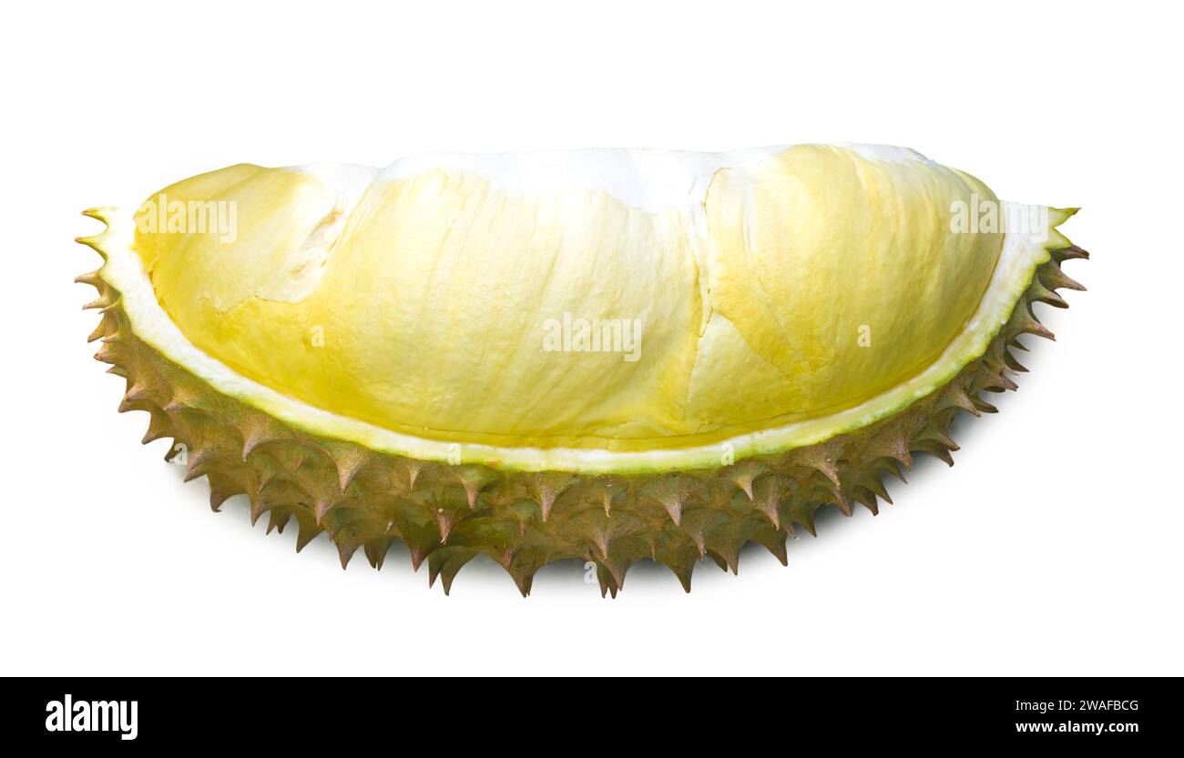 Close up of single part of ripe yellow durian flesh with shell is isolated on white background with clipping path. Stock Photo