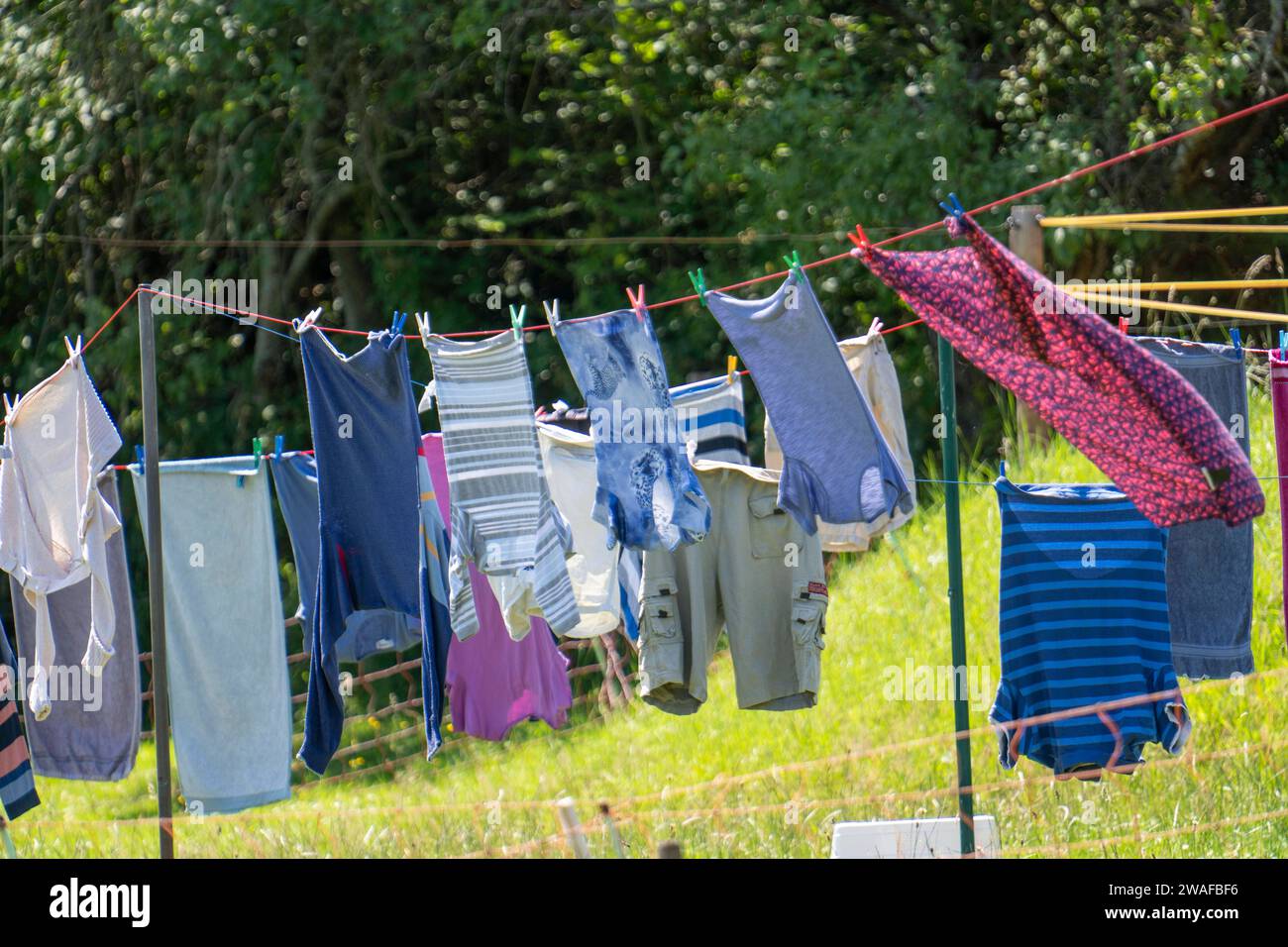 Wäsche auf der Leine in einem Garten, im Sommer Wäscheleine
