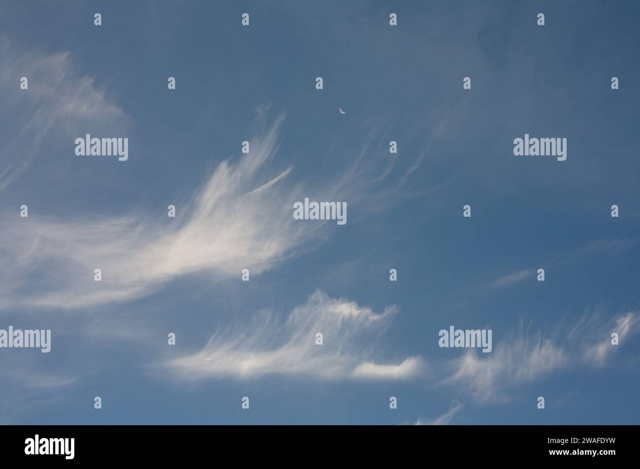 High thin clouds (cirrus and cirrostratus) and crescent moon Stock Photo