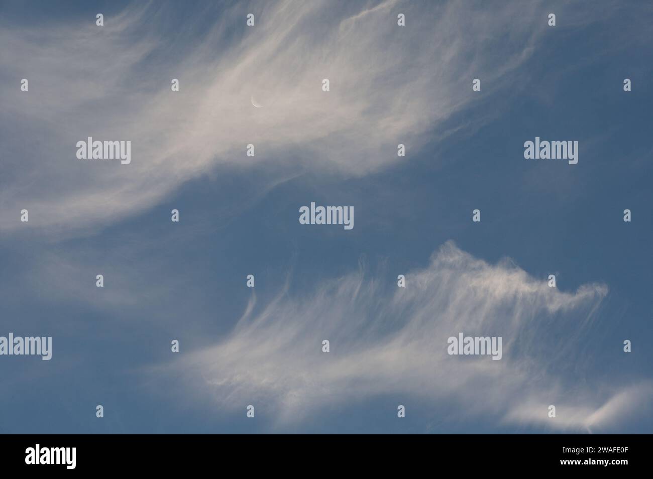 High thin clouds partly obscuring crescent moon on a Sunday morning Stock Photo