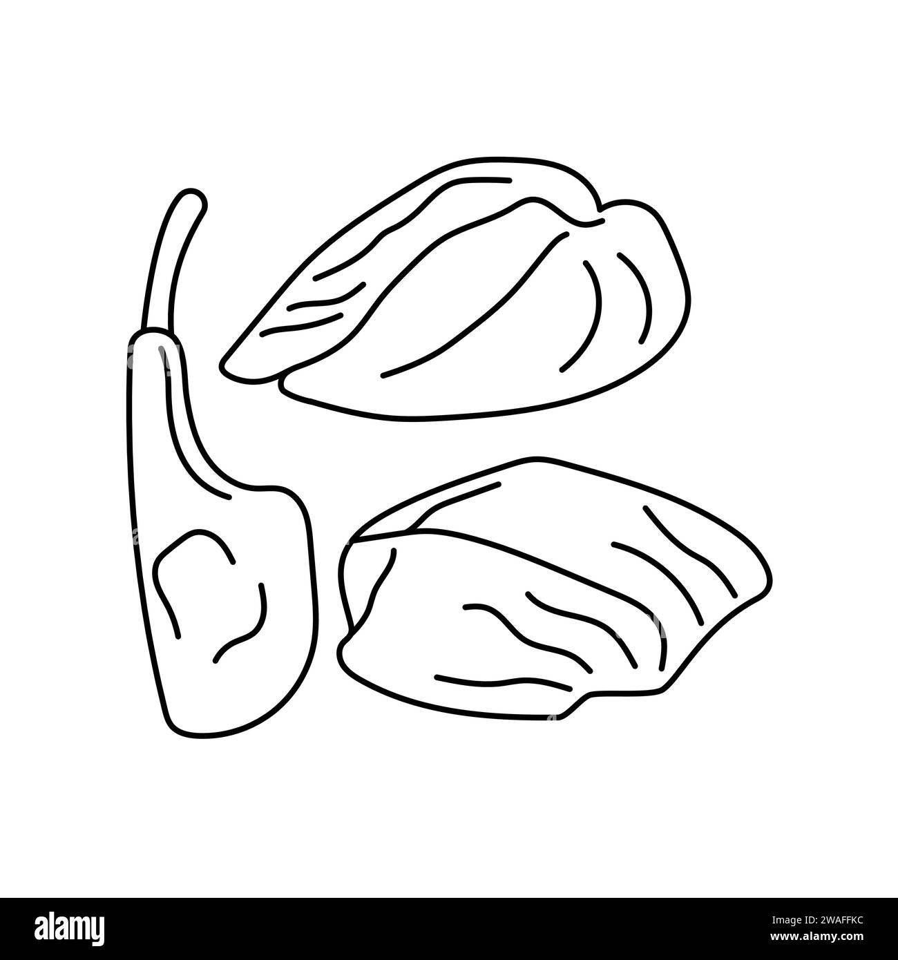 Hand drawn gastronomic meat products color element. Cartoon unprocessed