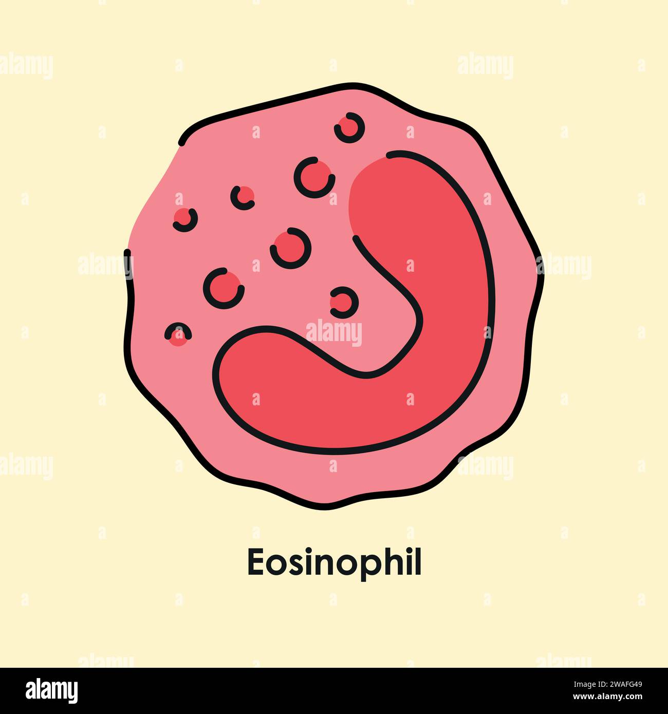 Eosinophil Color Icon White Blood Cells In The Blood Vessels Vector eosinophil-color-icon-white-blood-cells-in-the-blood-vessels-vector