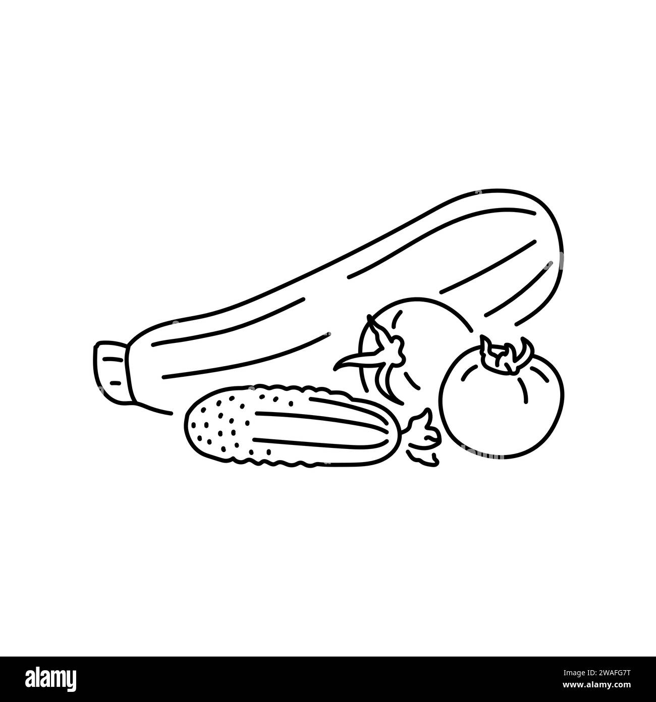 Hand drawn vegetables set zucchini, tomato, cucumber color element