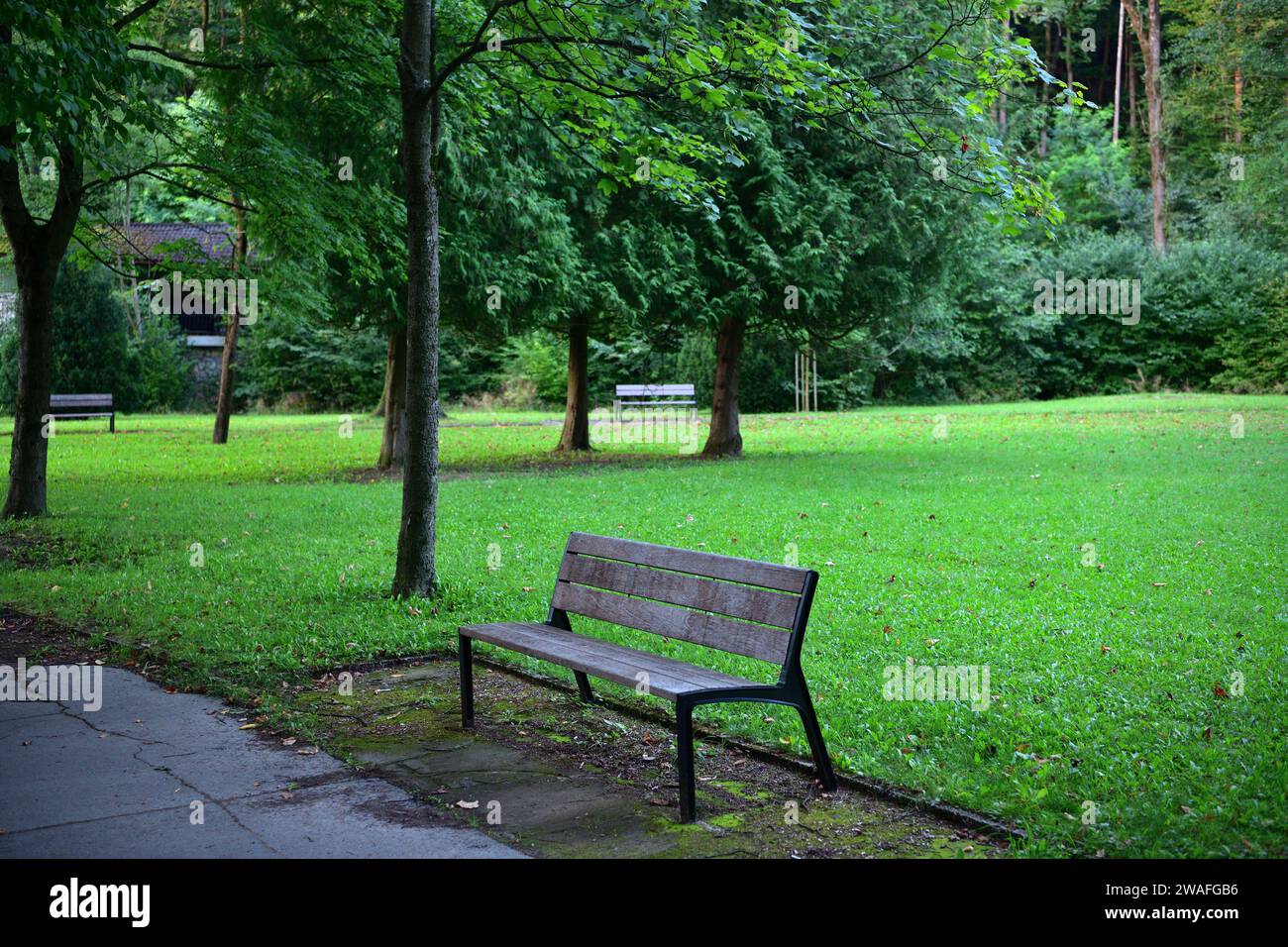 Detail of the rest benches in the spa forest park for visitors Stock ...