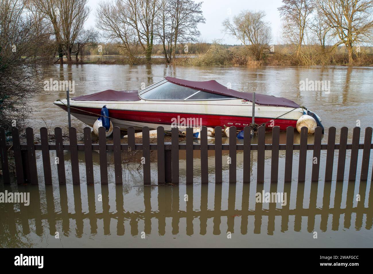 Wargrave, Berkshire, UK. 4th January, 2024. The River Thames floods