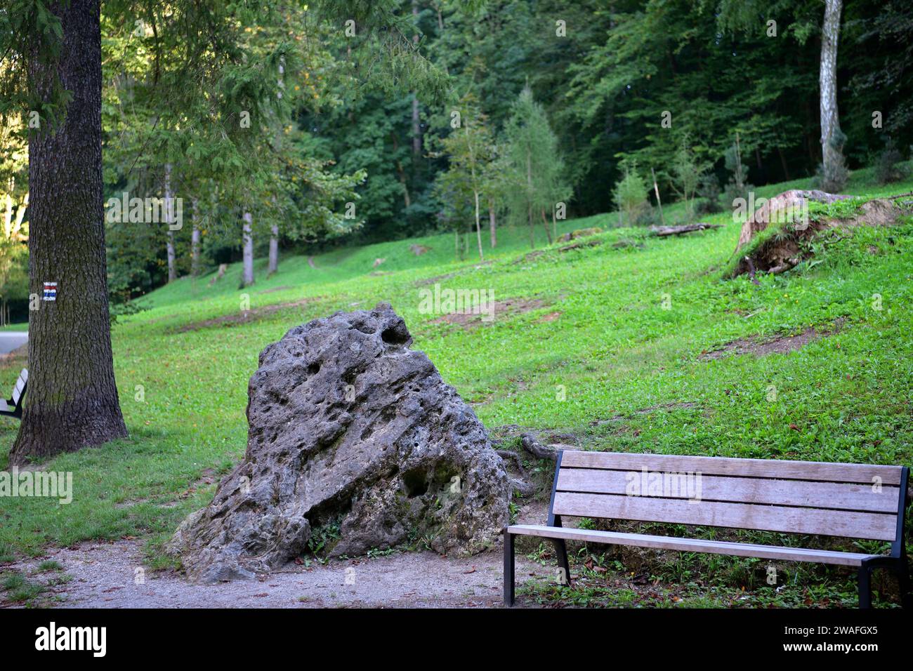 Detail of the rest benches in the spa forest park for visitors Stock ...
