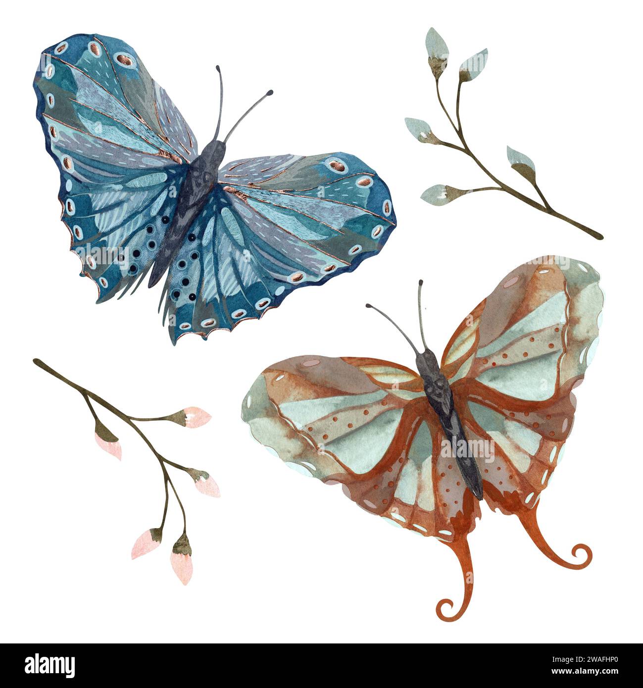 Isolate Drawing Watercolor texture butterflies with gold accents on a white background ...