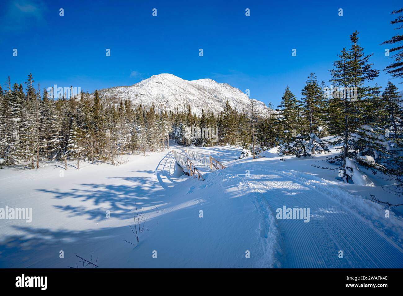 Cross country skiing trail to Xalibu mountain, Gaspesie national park