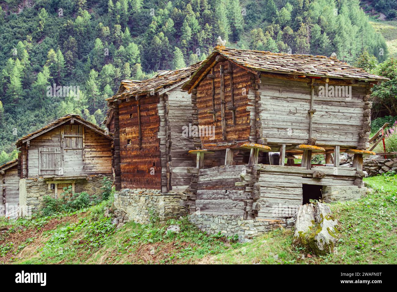 A charming wooden hut nestled among the trees in a peaceful rural area in the swiss alps Stock Photo