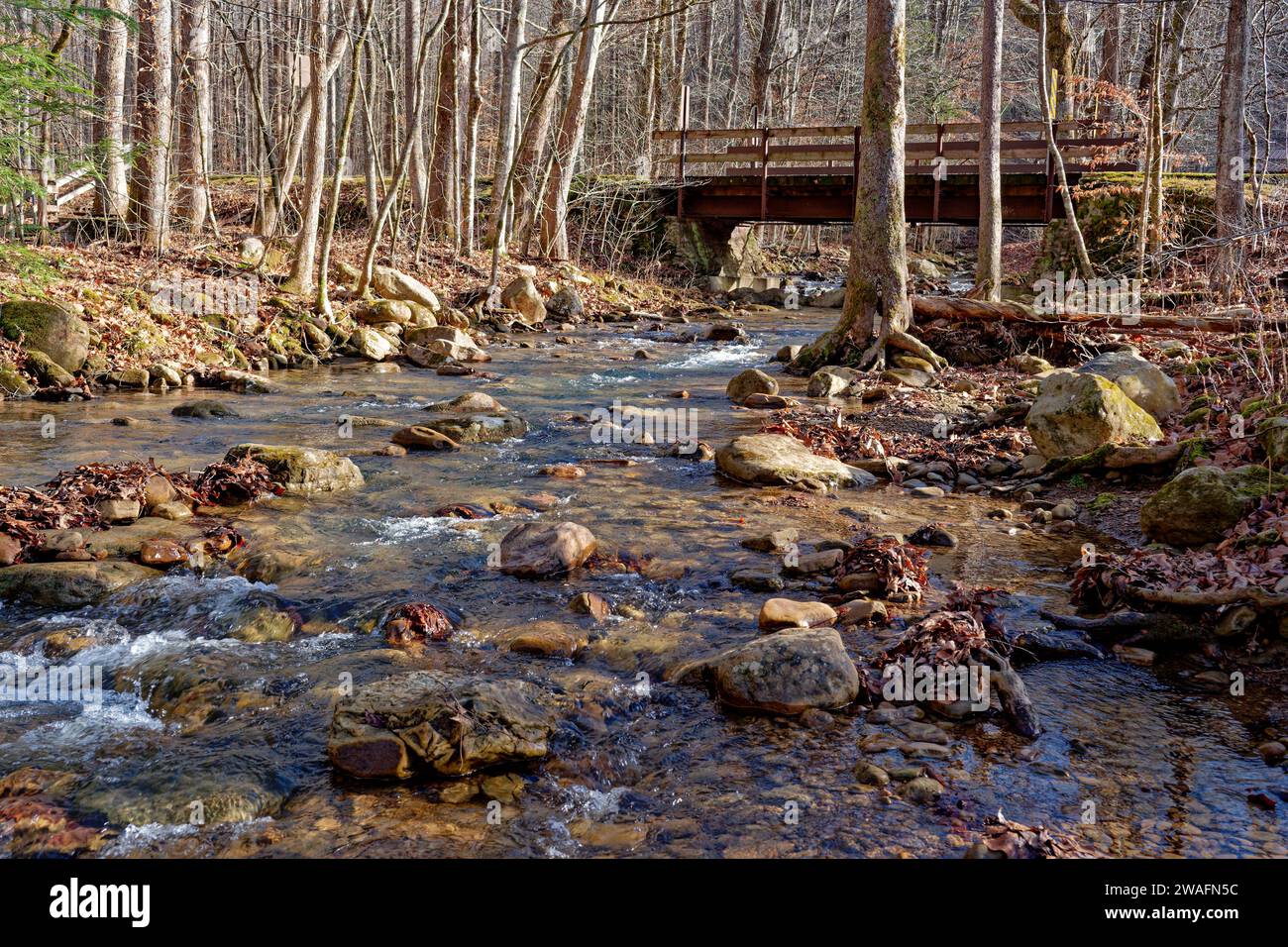 A one lane bridge over a fast flowing creek in the park in a forest on a sunny day in wintertime Stock Photo