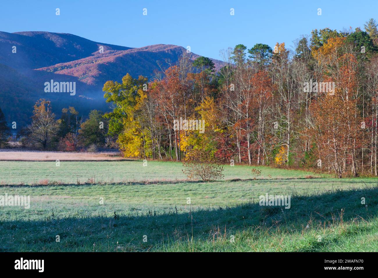 Autumn in Cades Cove in the Great Smoky Mountains National Park Stock Photo
