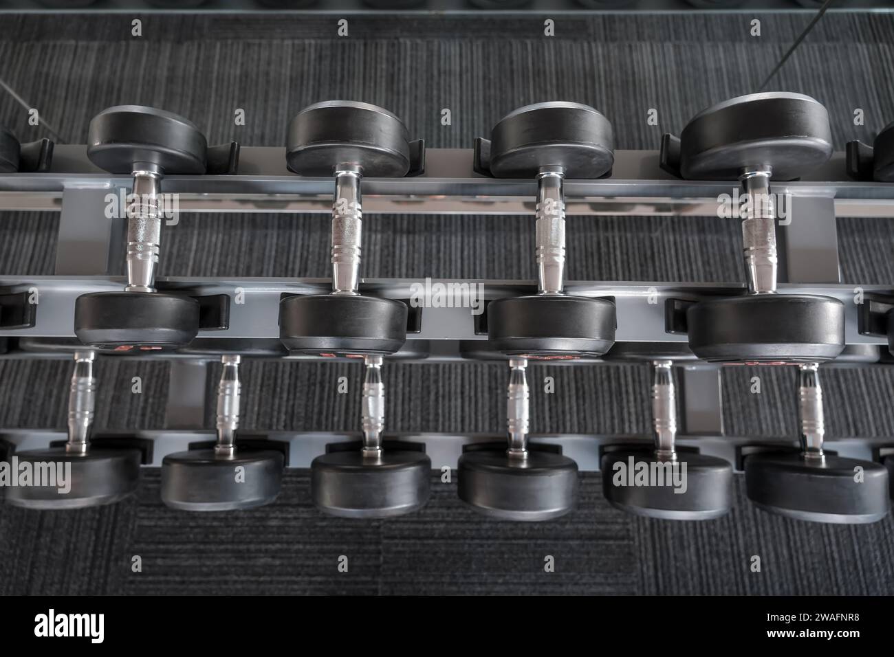 Rows of dumbbells in the gym of modern dumbbells equipment in the sport ...