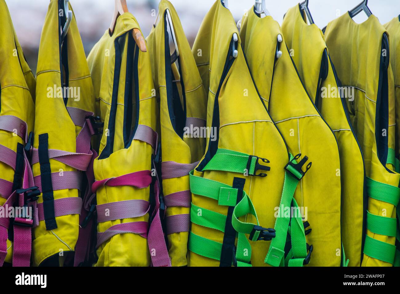 A row of yellow high visibility life jackets hung on coat hangers Stock Photo